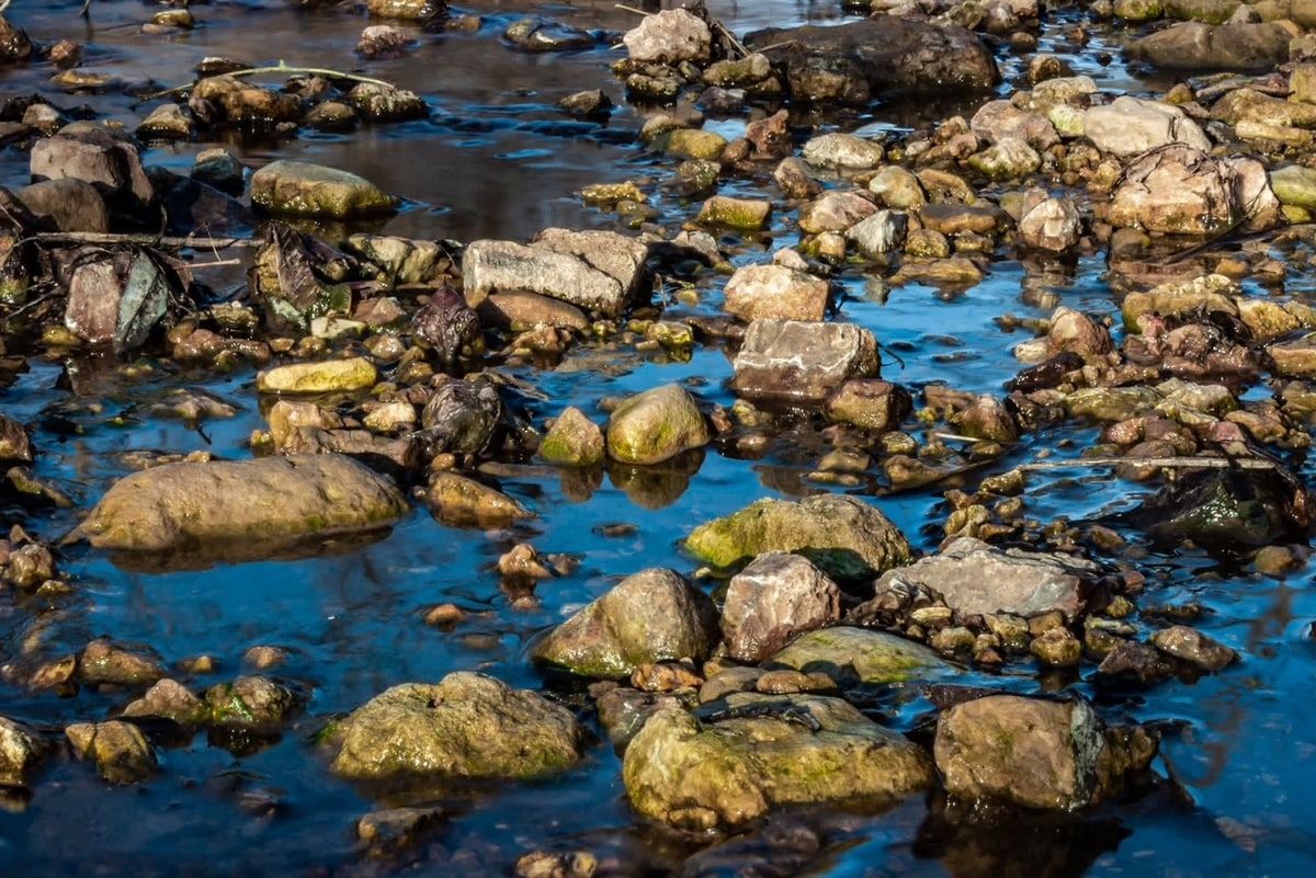 Wet rocks crowding a shallow creek bed in strong sunlight, moss-covered and brown, with deep blue sky reflected in the water between them.